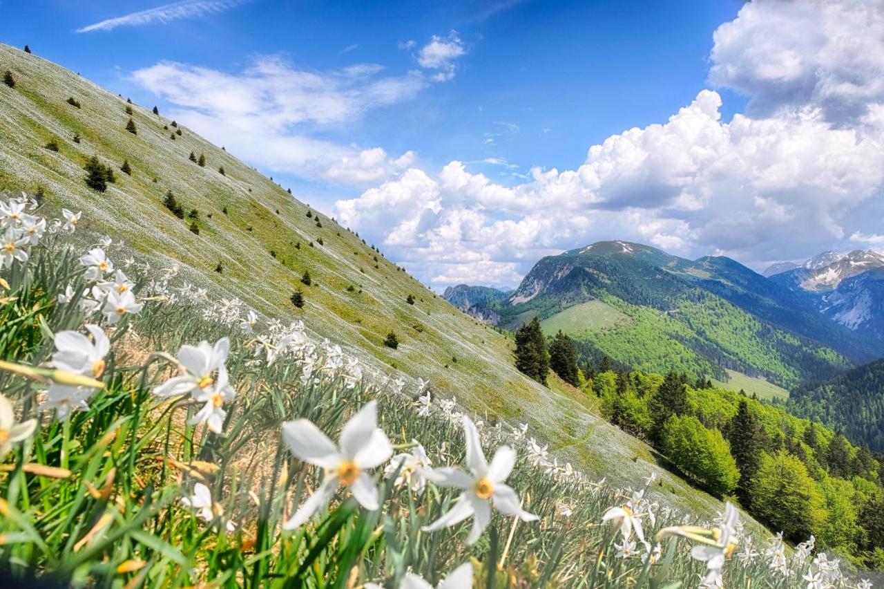 Apartments Pri Fencu Jesenice Bagian luar foto