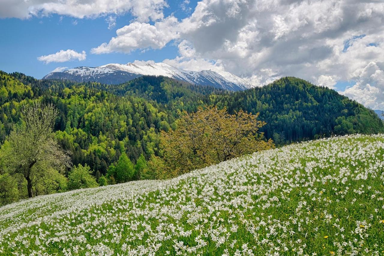 Apartments Pri Fencu Jesenice Bagian luar foto
