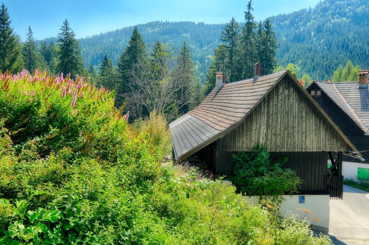 Apartments Pri Fencu Jesenice Bagian luar foto
