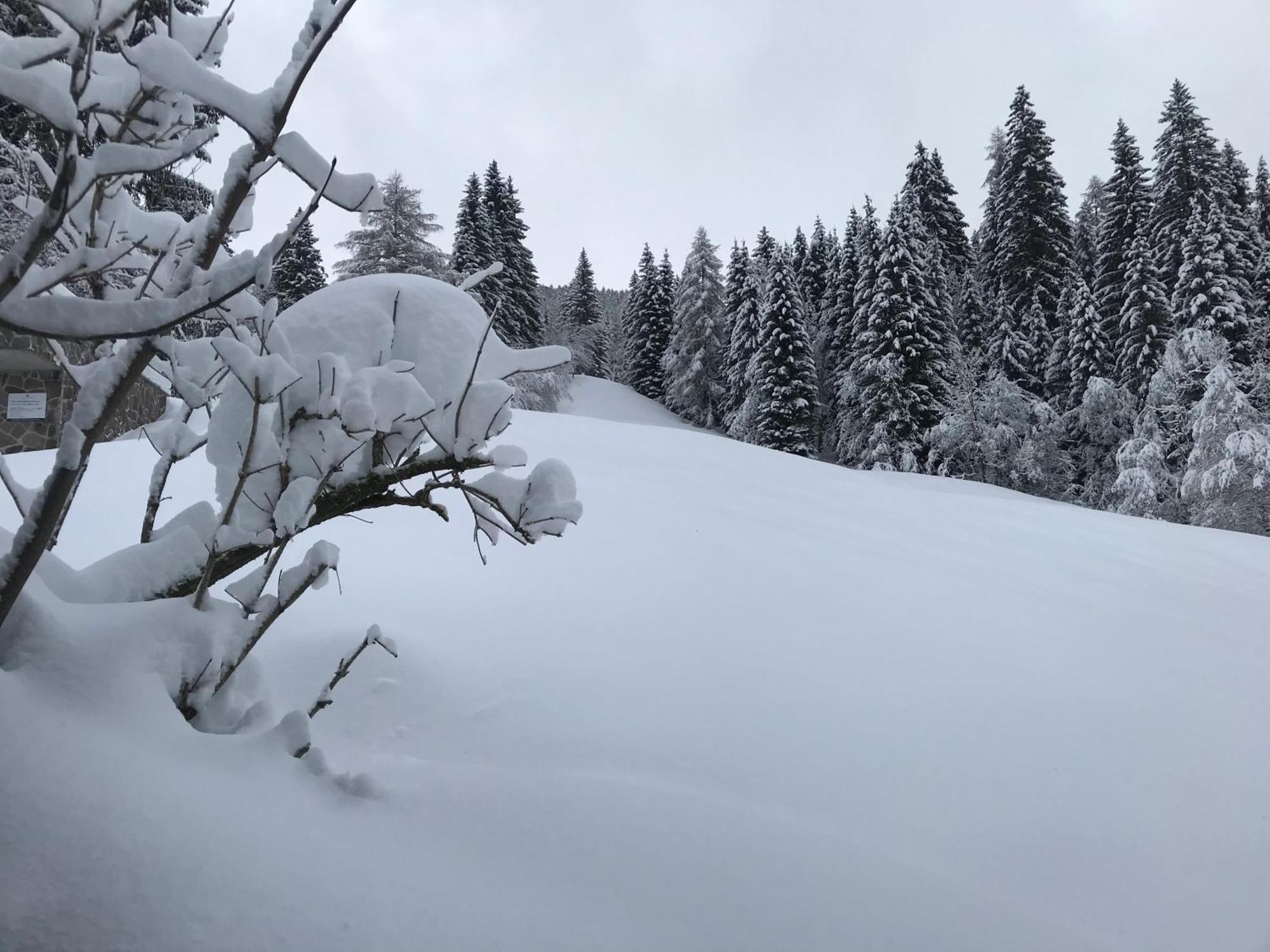 Apartments Pri Fencu Jesenice Bagian luar foto