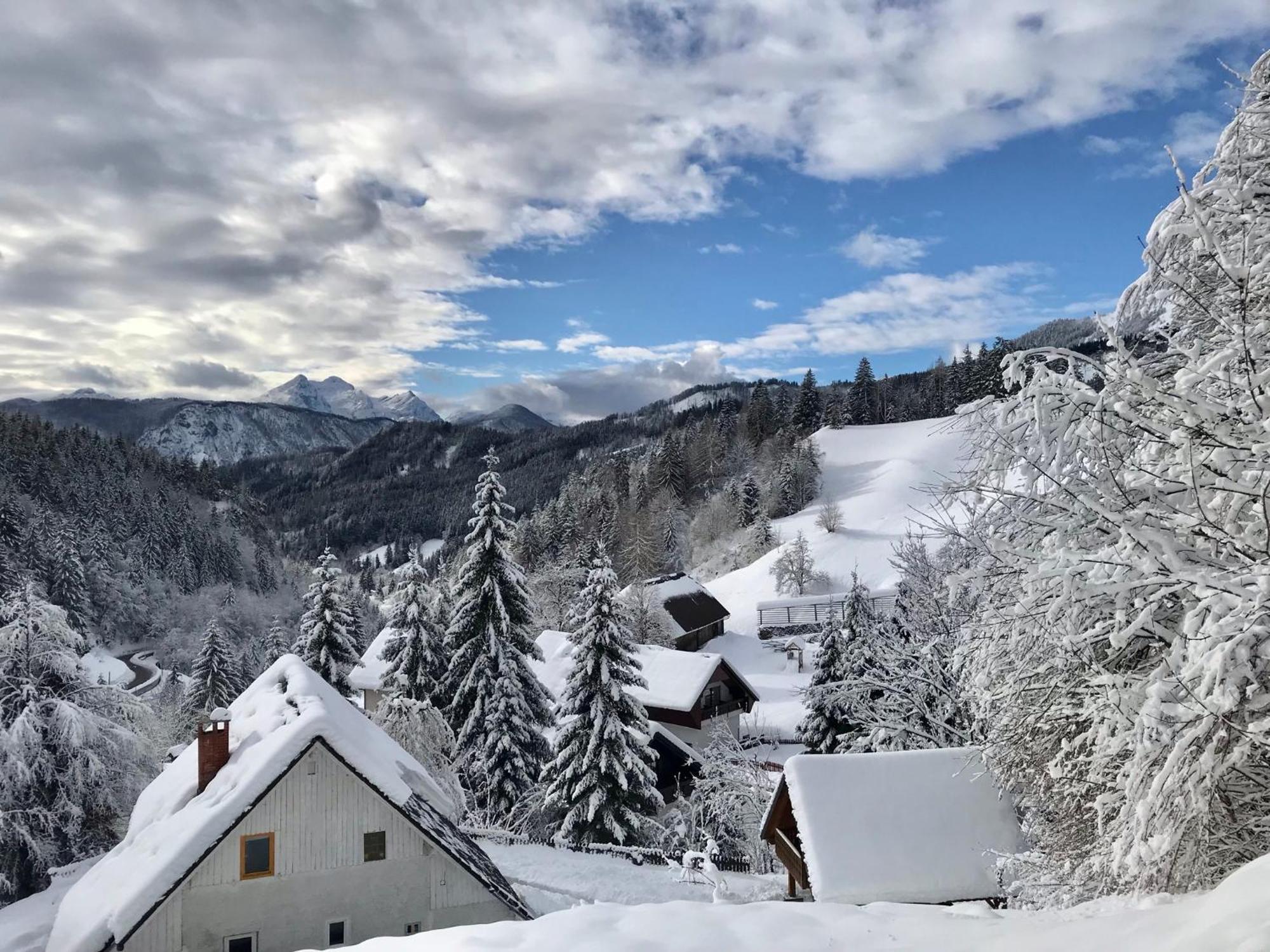 Apartments Pri Fencu Jesenice Bagian luar foto