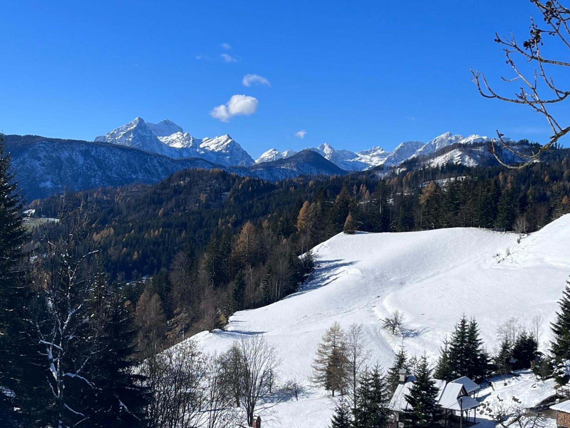 Apartments Pri Fencu Jesenice Bagian luar foto